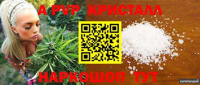 амф Вышний Волочёк