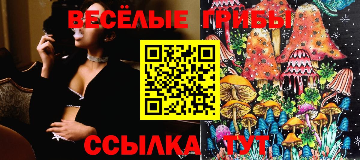 Киров  Галлюциногенные грибы мицелий  Вход с VPN 