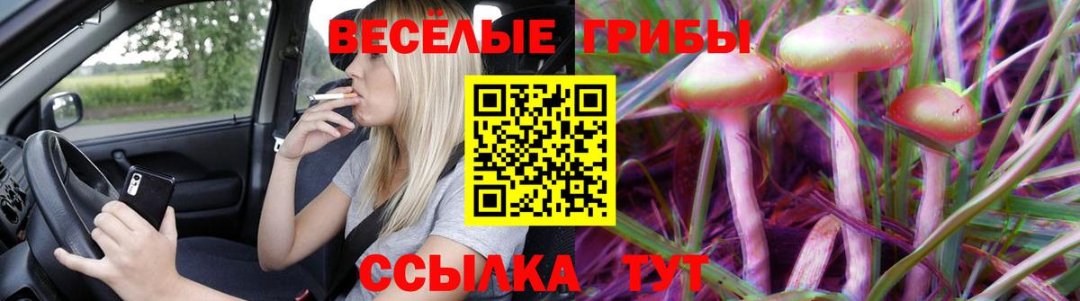 Галлюциногенные грибы мицелий Киров